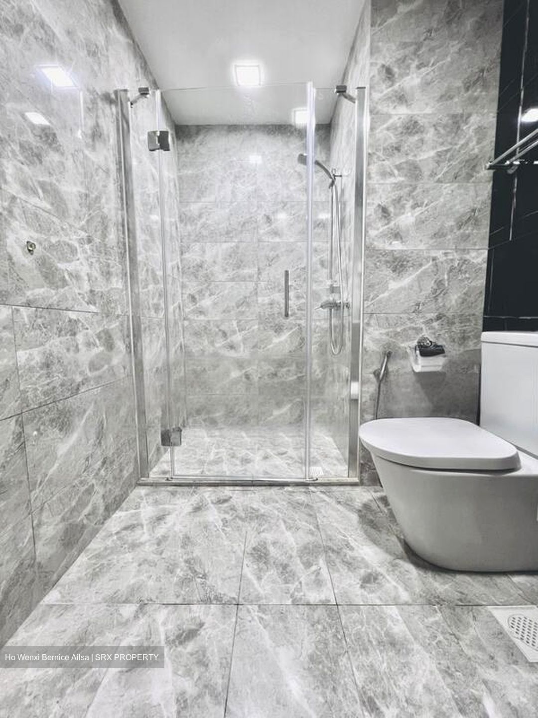 The Santorini (D18), Condominium #462744841